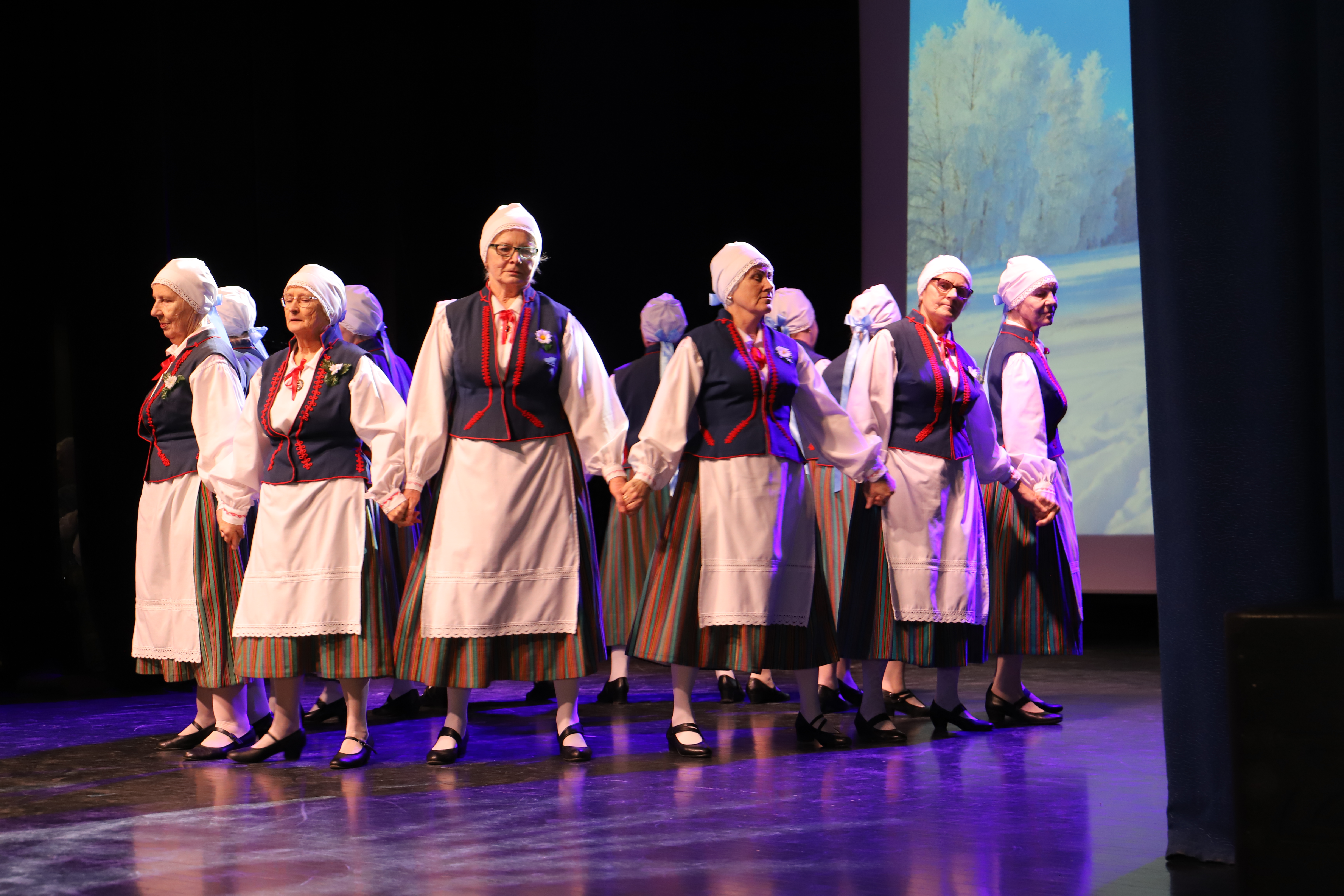 Ansambel Oduvantšiki kontsert 