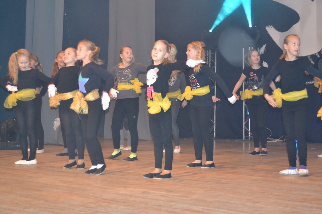 Huvialaringide talvekontsert