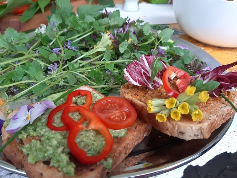 Huviringide kontsert Päikeseratas