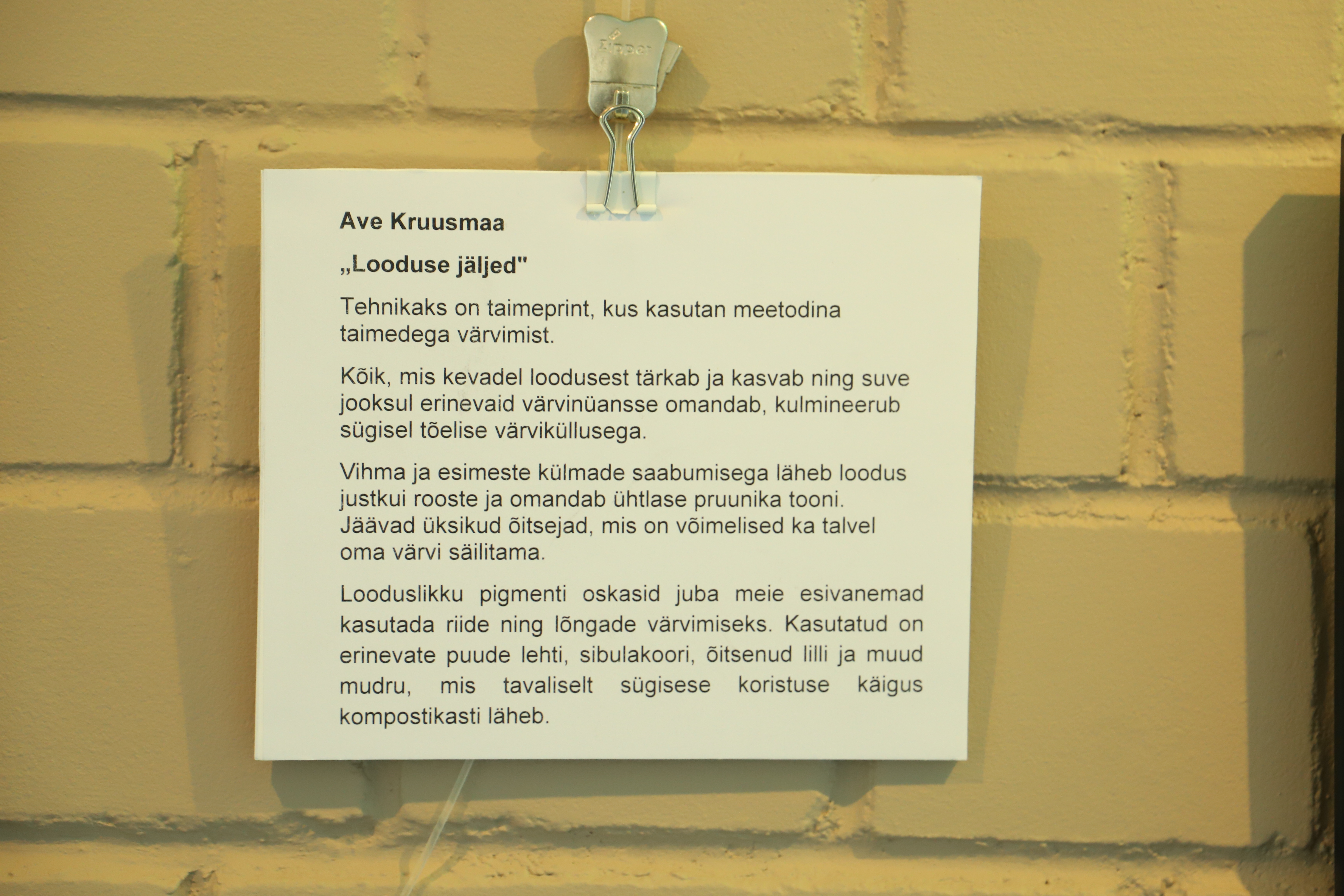 Kohtumine kunstiga