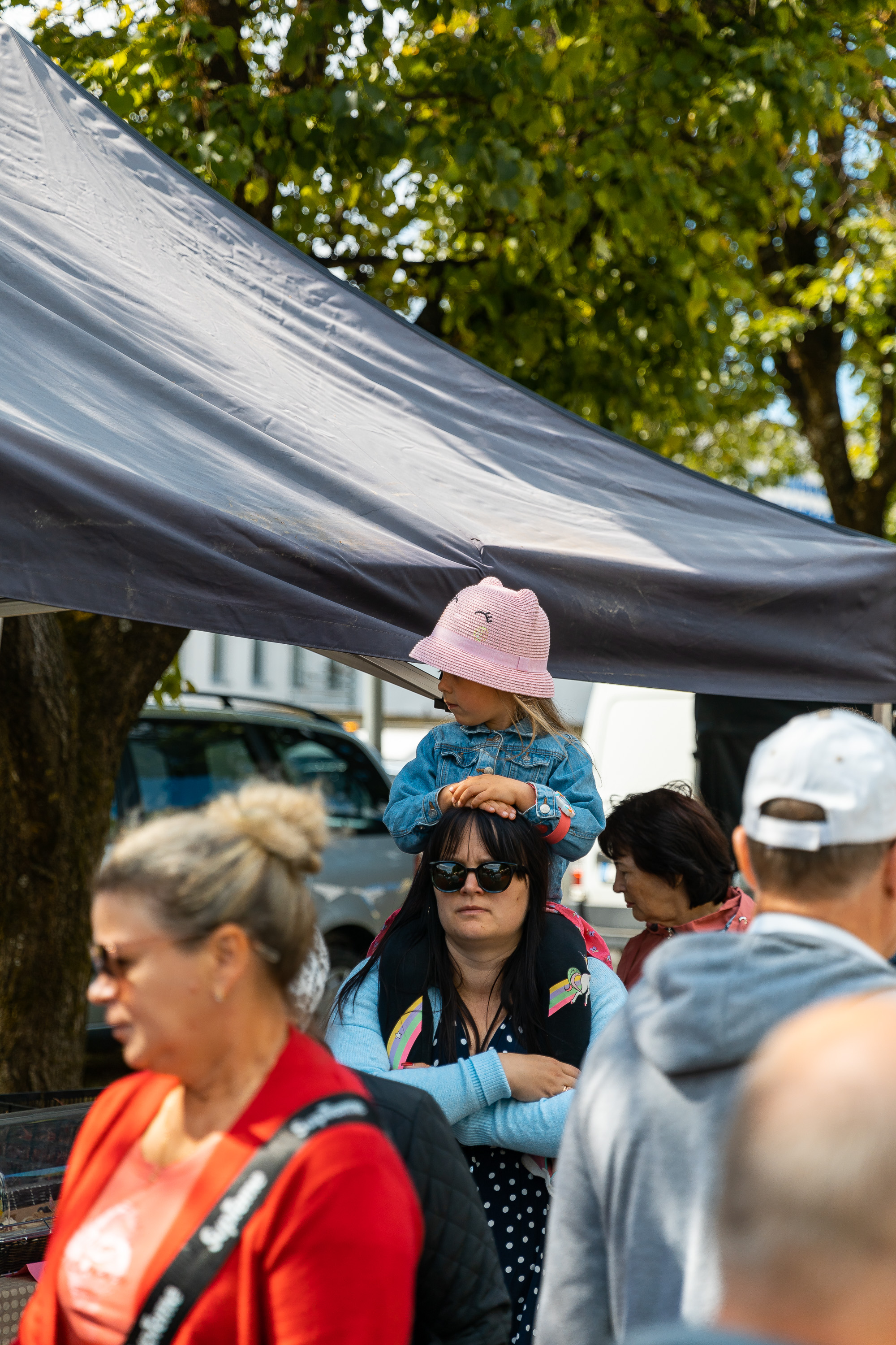 Liivimaa laat
