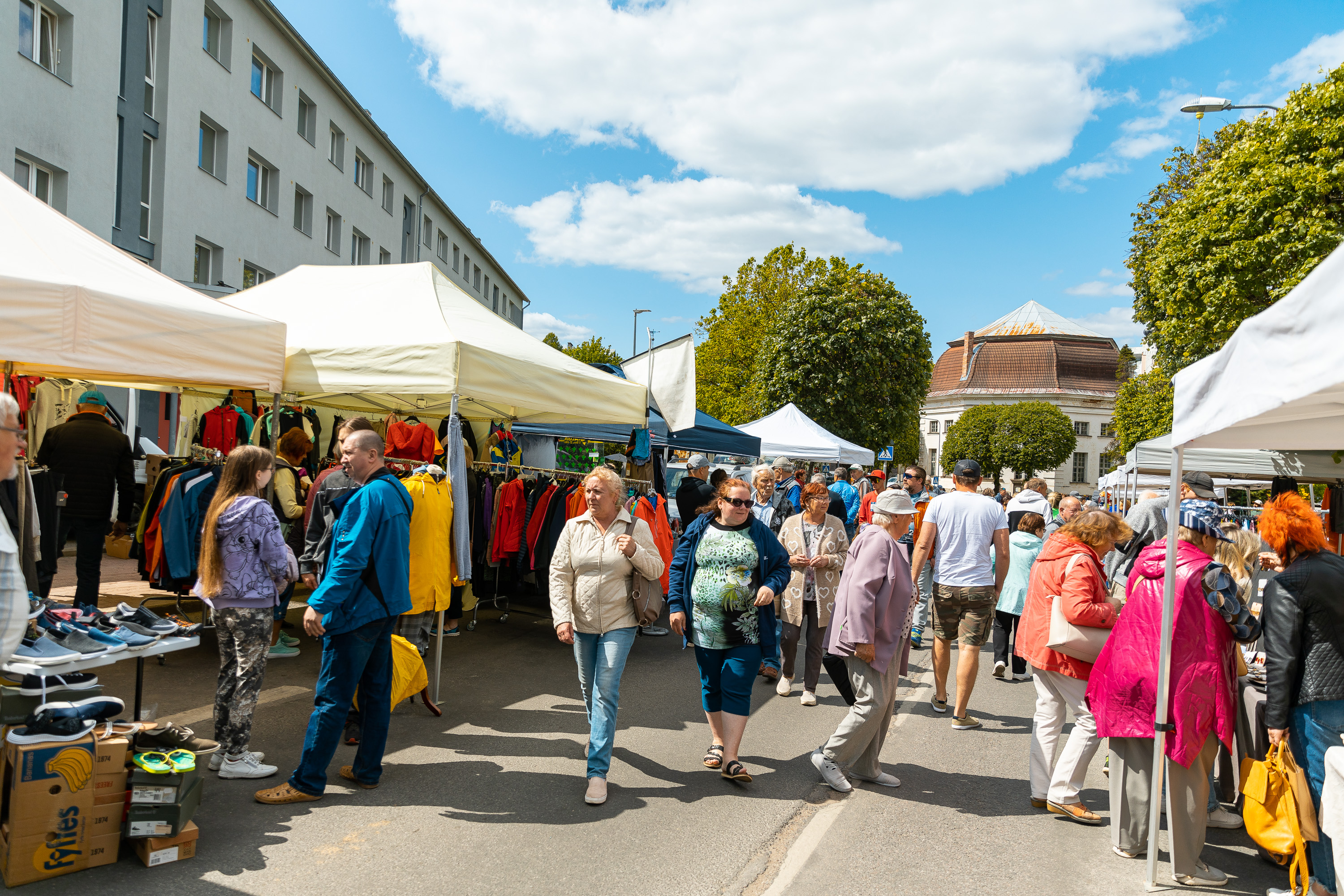 Liivimaa laat