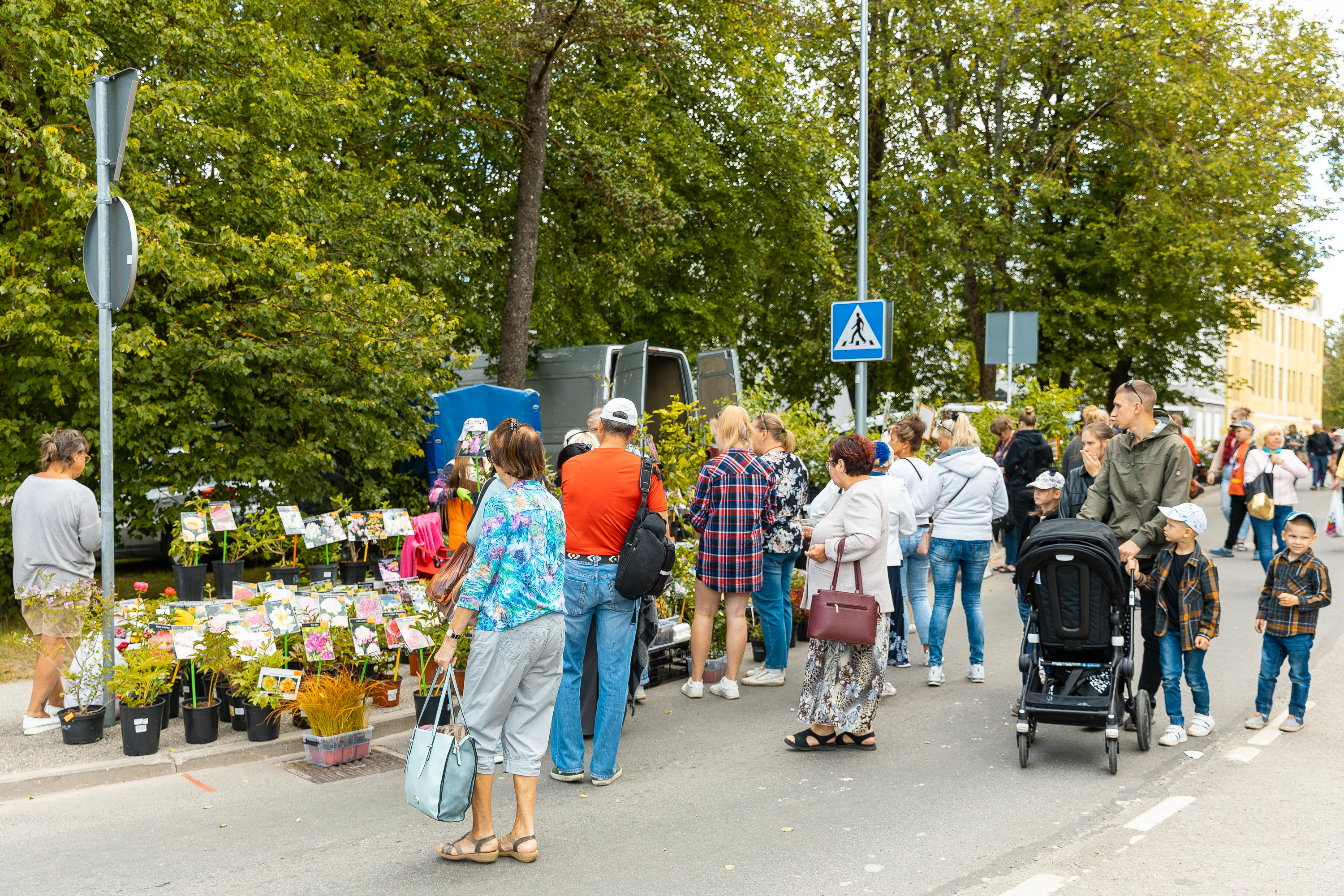 Liivimaa laat