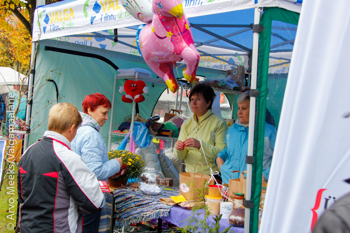 Mihklilaat 2014