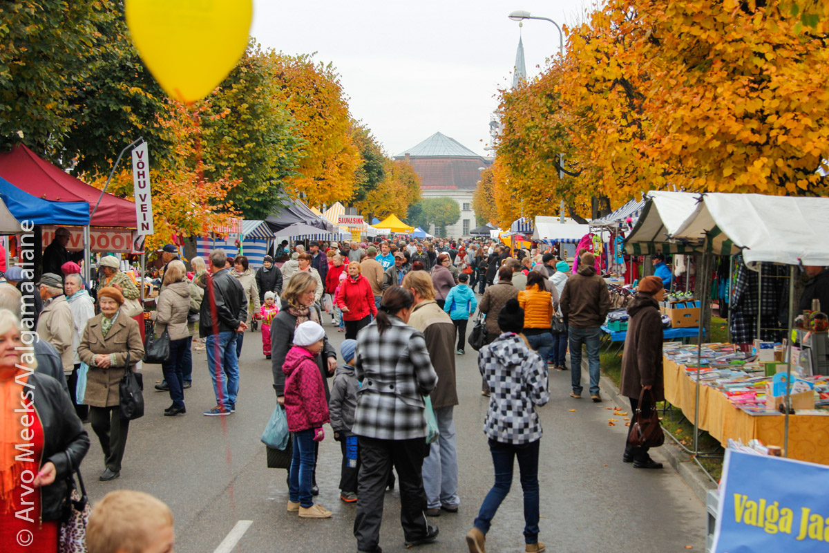 Mihklilaat 2014