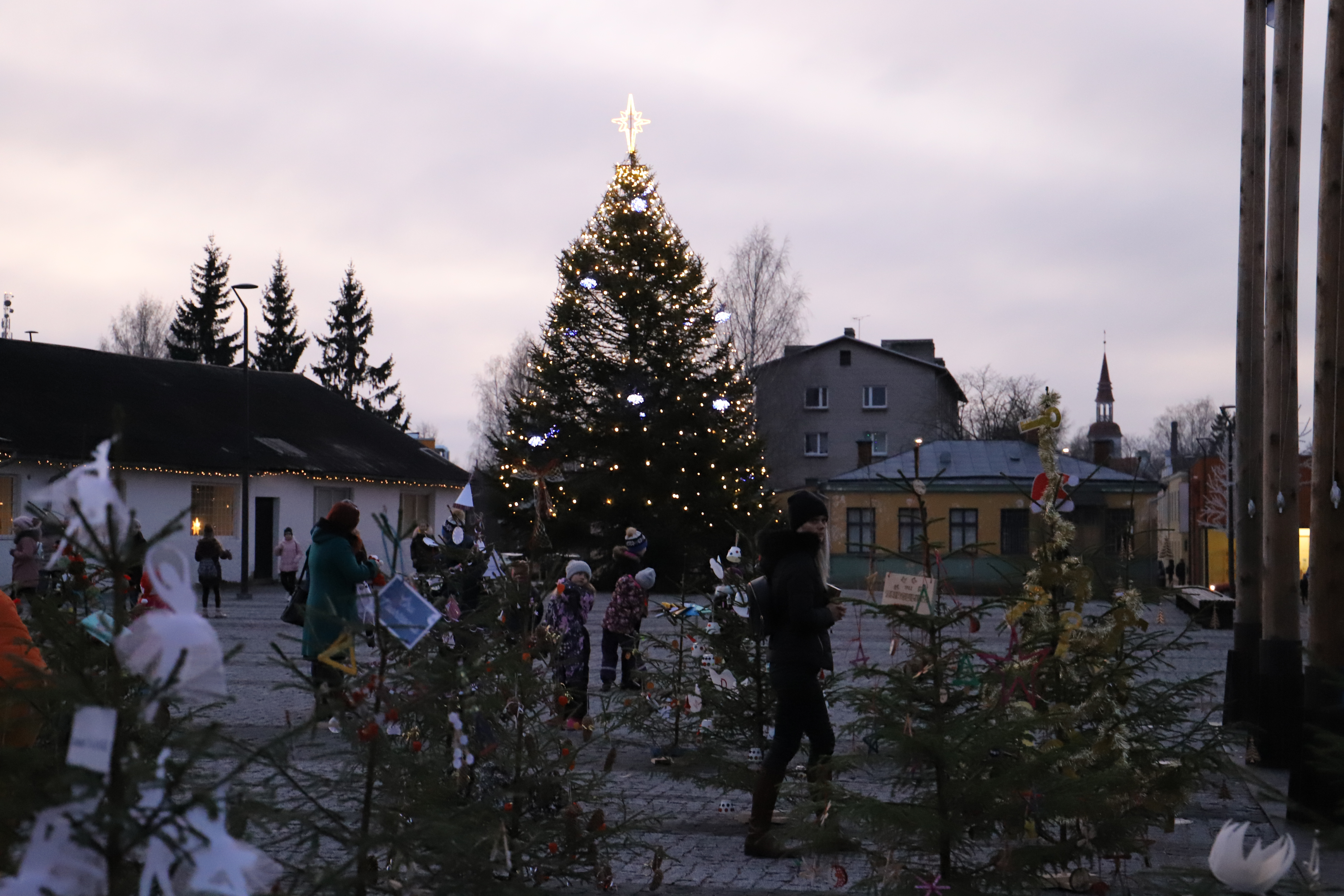 Talvemaa
