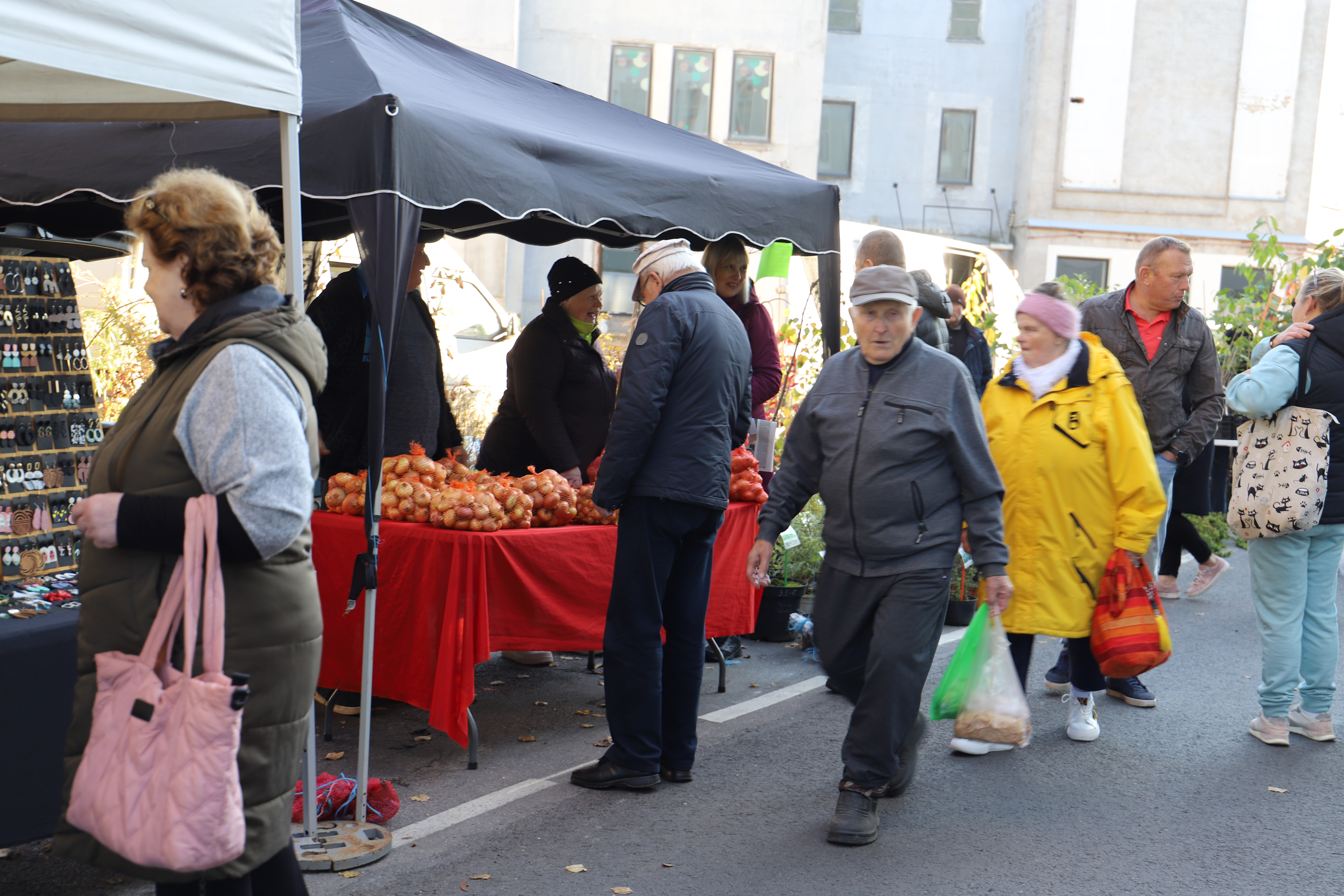 Valga Mihklilaat 2024