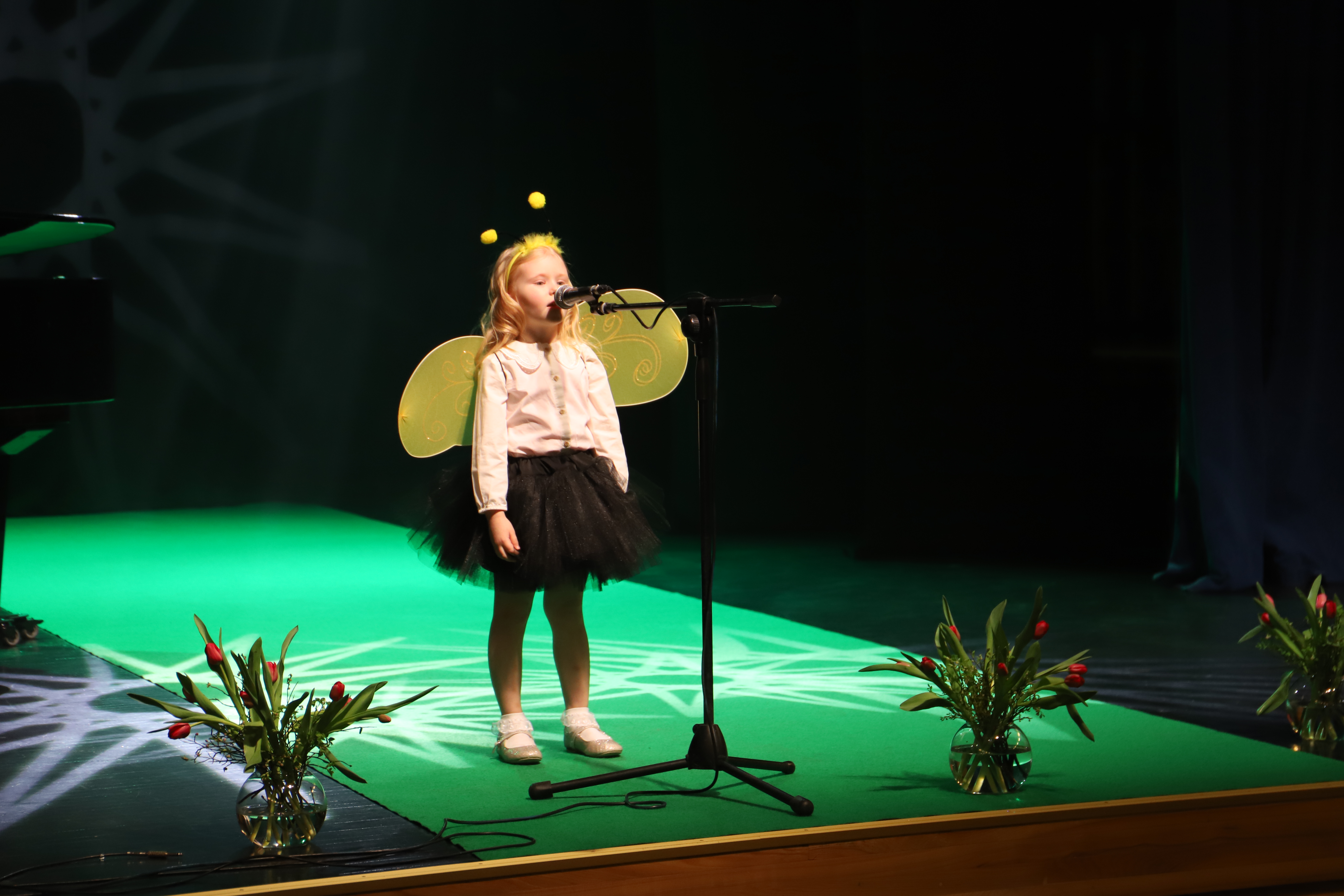 Valga valla Tähtede Lava 2025